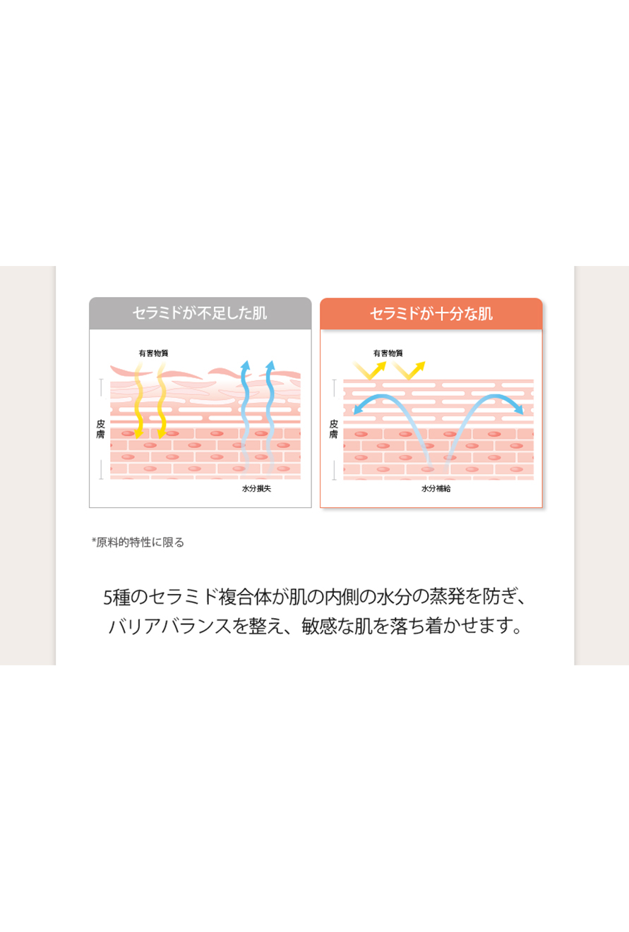 250930_T美容液2nd_日本語09