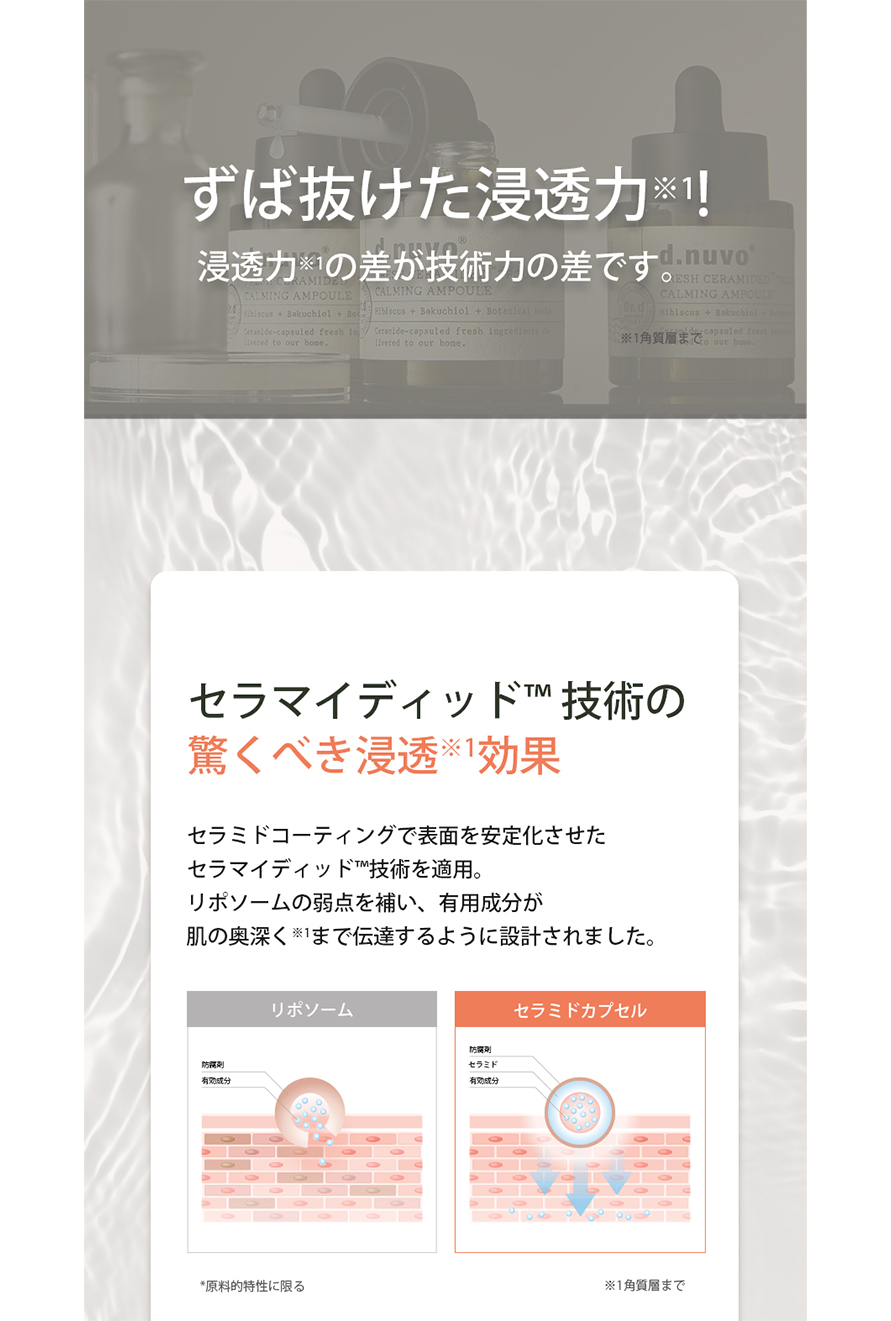 250930_T美容液2nd_日本語10