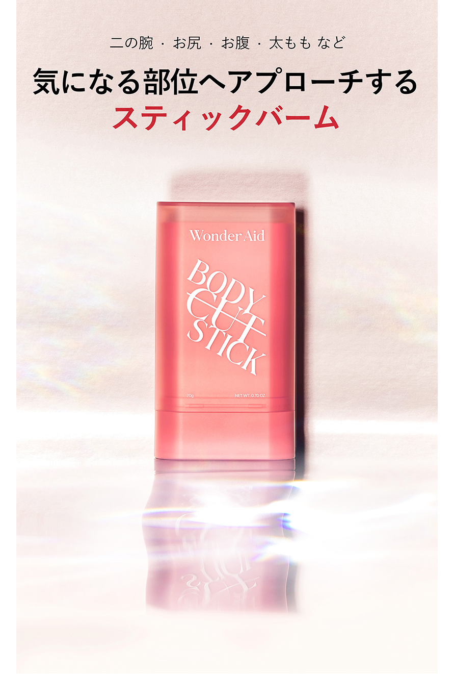 ボディステック01
